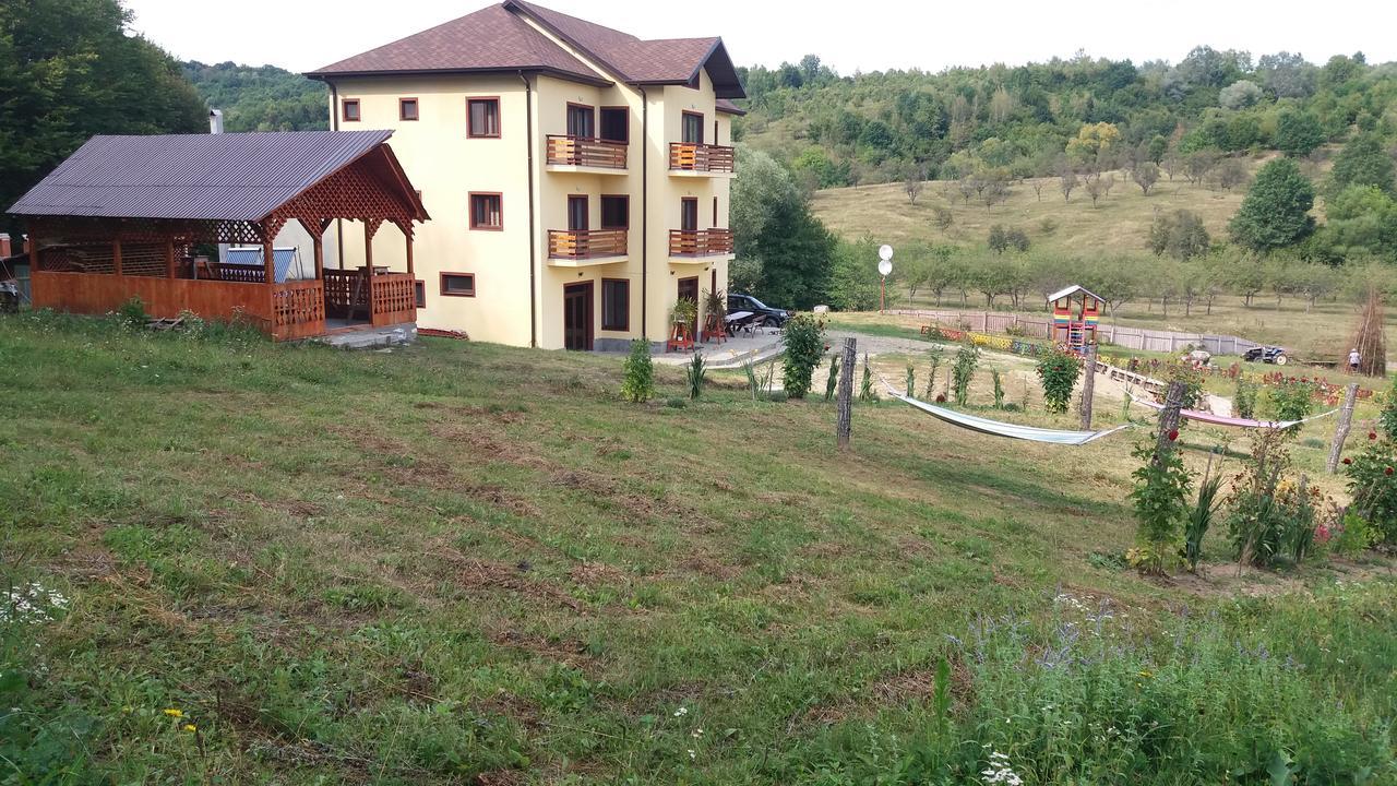 Pensiunea Lavinia Calvini Exterior photo